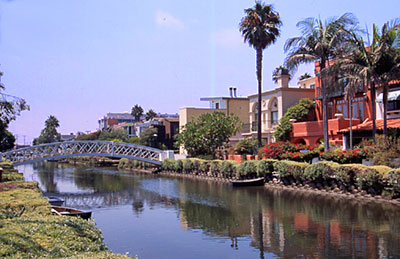 Slide Image #1