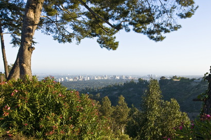 Slide Image #1